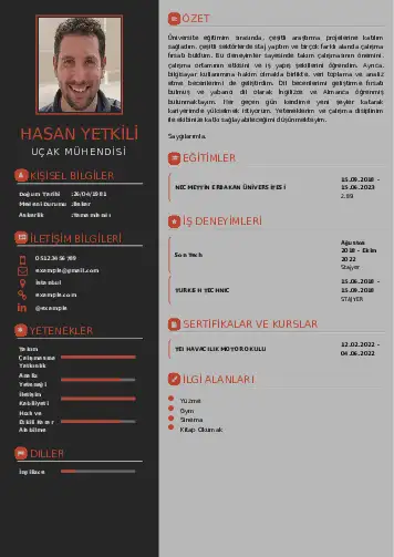 Havacılık Ve Uzay Uçak Mühendisi Cv Örnekleri cv indir